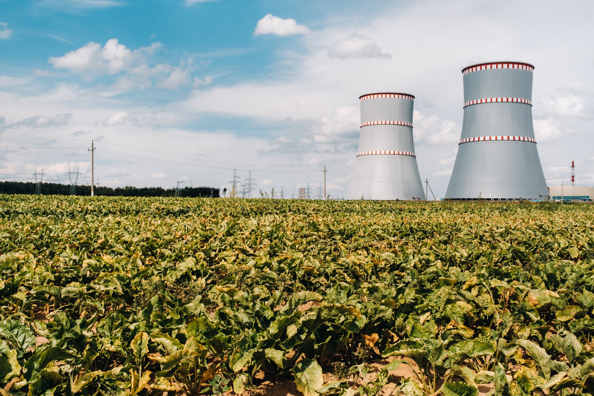 Belarusian nuclear power plant in Ostrovets district.Field around the nuclear power plant. Belarus